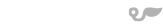 Springload logo